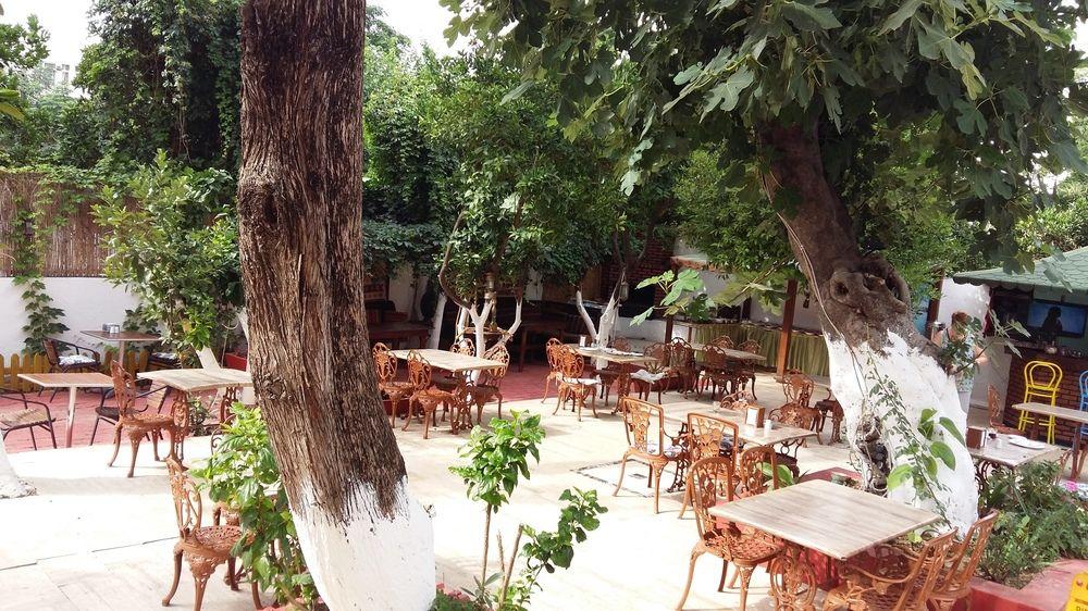 Kaliptus 2* Kemer